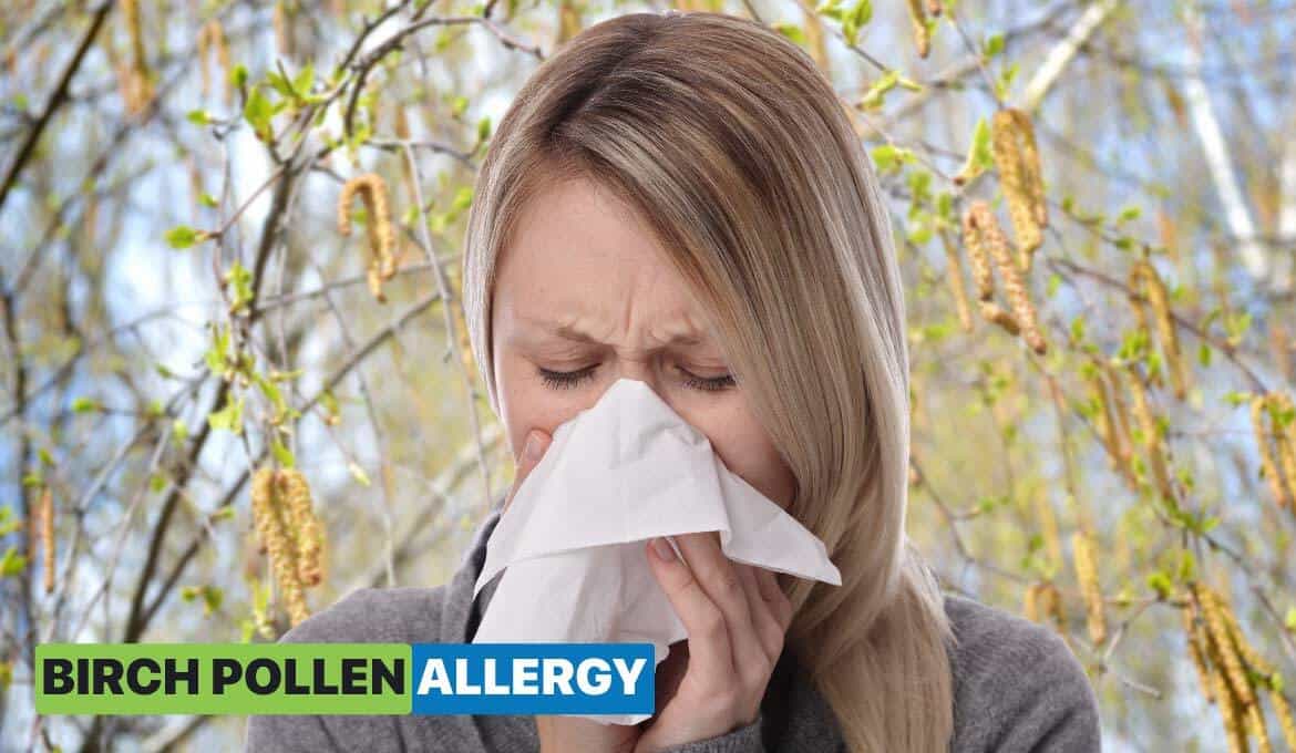Birch Pollen Allergy