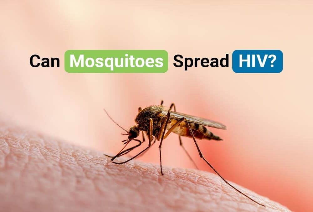 Can Mosquitoes Spread HIV