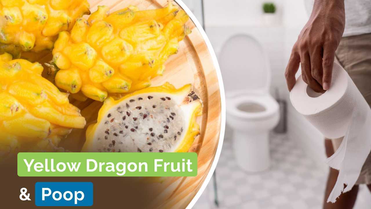 yellow dragon fruit and poop